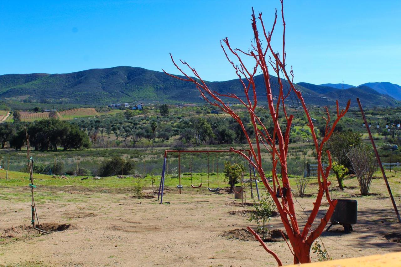 Rancho Matalote En Valle De Guadalupe Ngoại thất bức ảnh