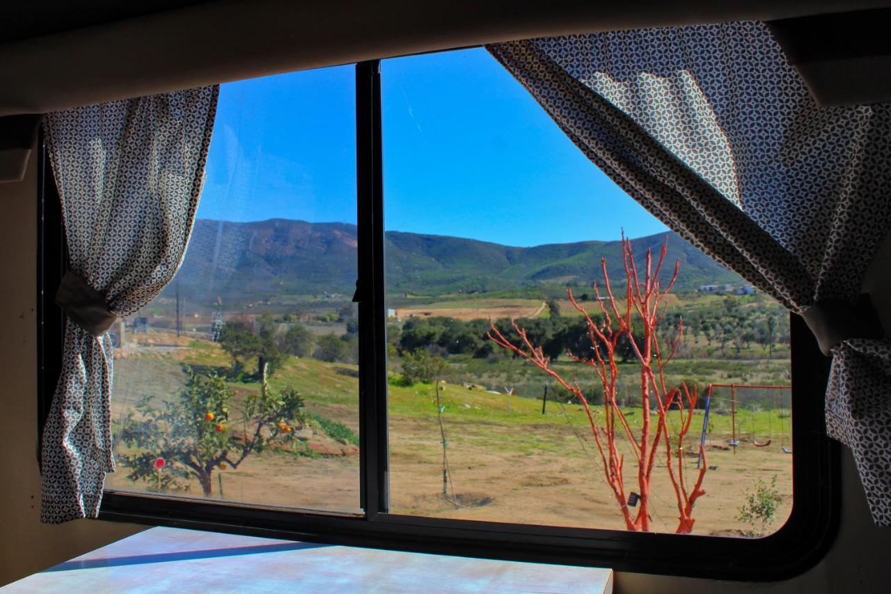 Rancho Matalote En Valle De Guadalupe Ngoại thất bức ảnh