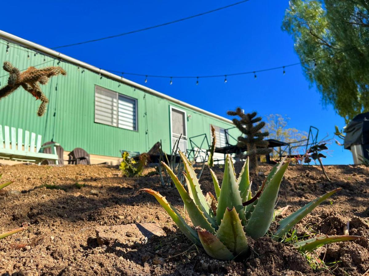 Rancho Matalote En Valle De Guadalupe Ngoại thất bức ảnh