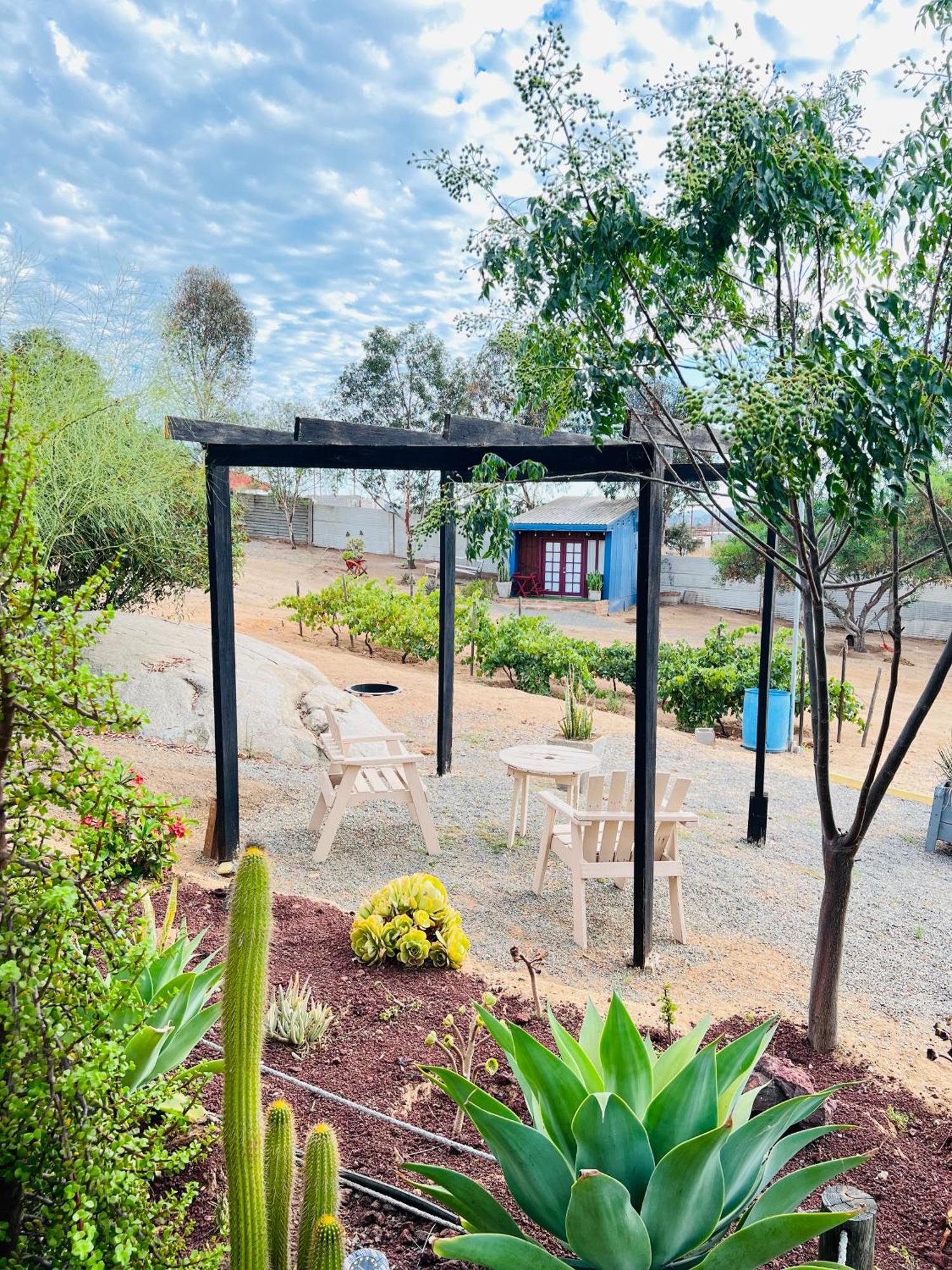 Rancho Matalote En Valle De Guadalupe Ngoại thất bức ảnh