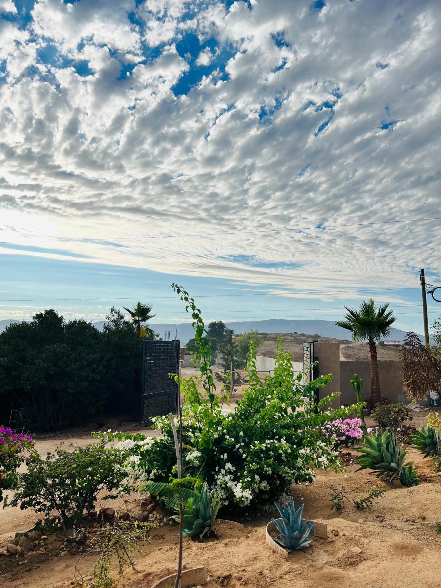 Rancho Matalote En Valle De Guadalupe Ngoại thất bức ảnh