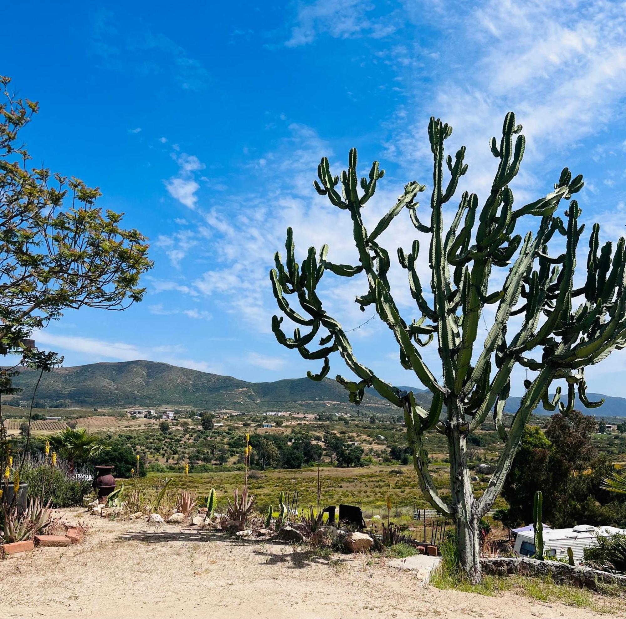 Rancho Matalote En Valle De Guadalupe Ngoại thất bức ảnh